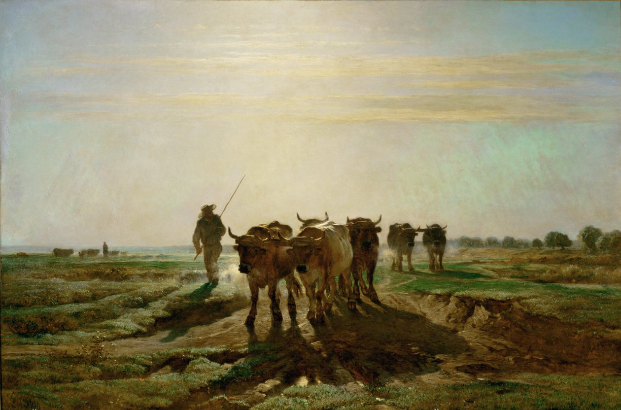 Boeufs se rendant au travail - bydło idące do pracy, poranek. 1855 ... autorstwa Constant Emile Troyon