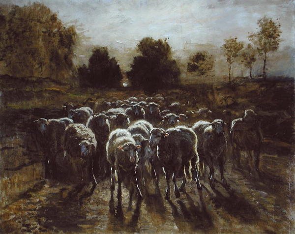 Stado owiec, czyli Powrót stada (olej na płótnie) autorstwa Constant Emile Troyon
