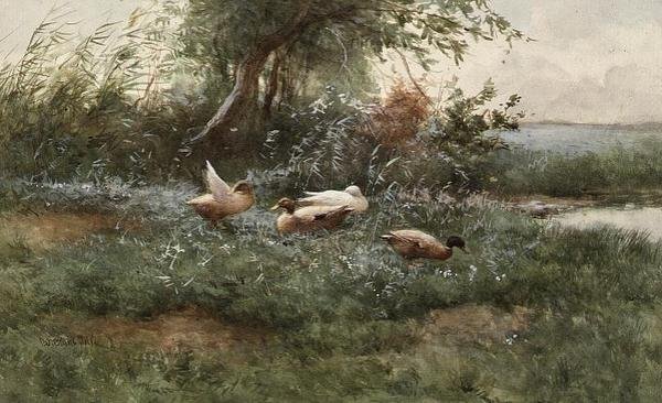 Kaczki nad stawem (olej na płótnie) autorstwa Constant Artz