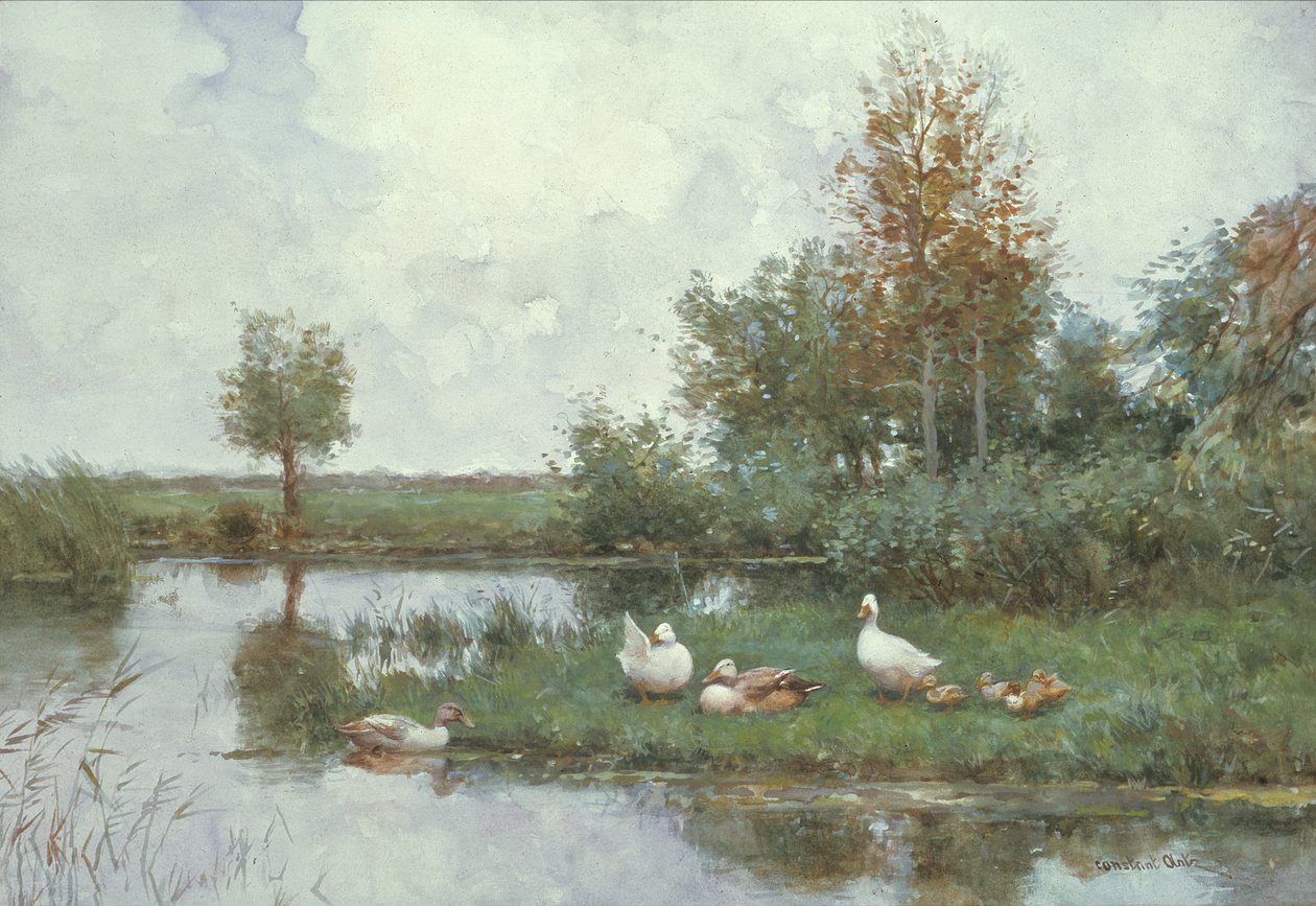 Kaczki w pejzażu rzeki (olej na płótnie) autorstwa Constant Artz