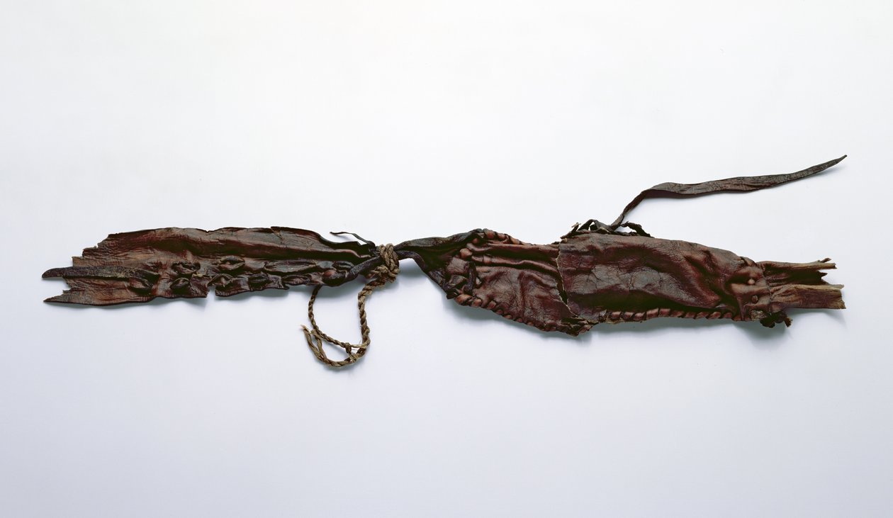 Fragment skóry znaleziony u Lodziarza Oetzi (skóra) autorstwa Copper Age