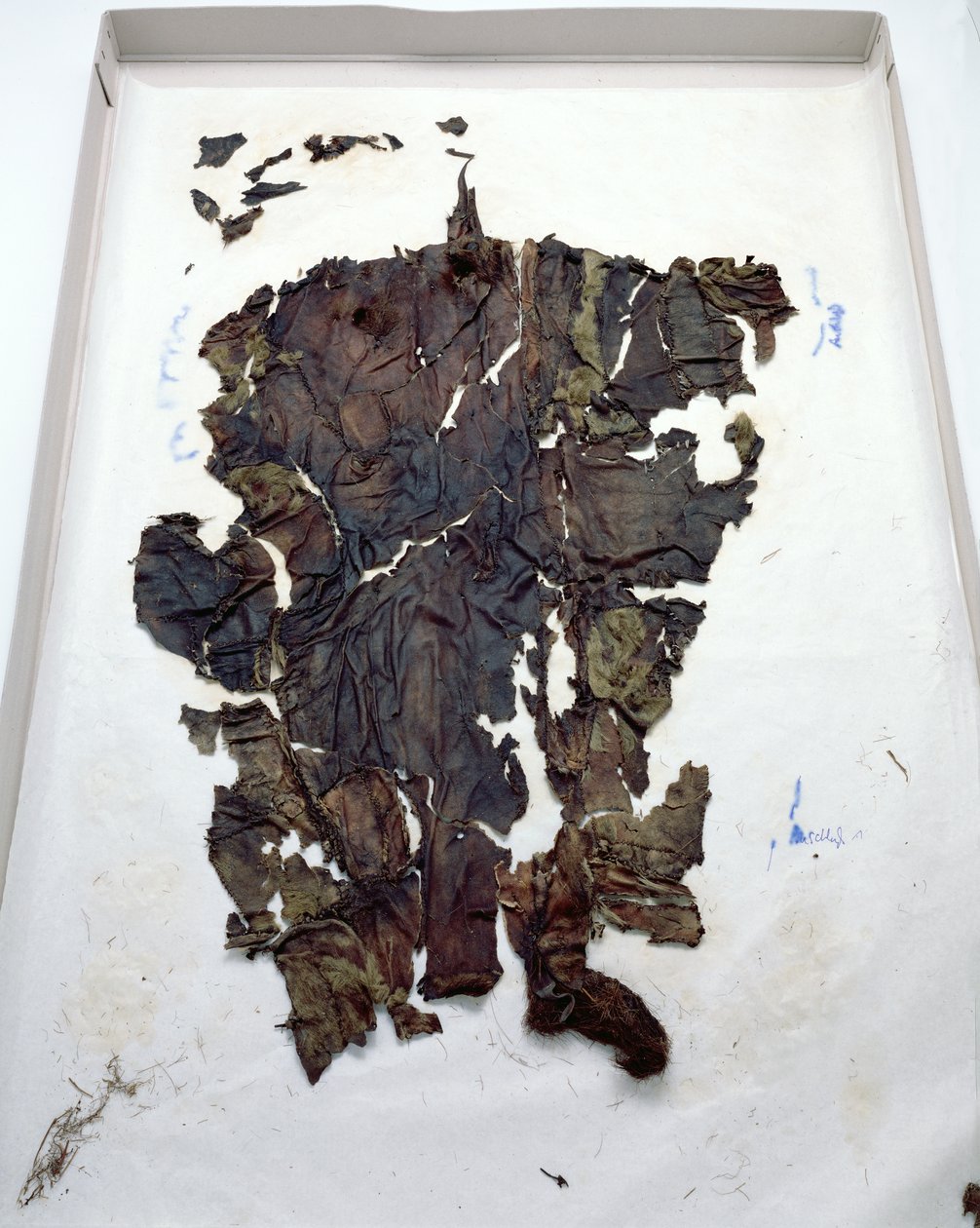 Legginsy znalezione z Oetzi Iceman (kozia skóra) autorstwa Copper Age