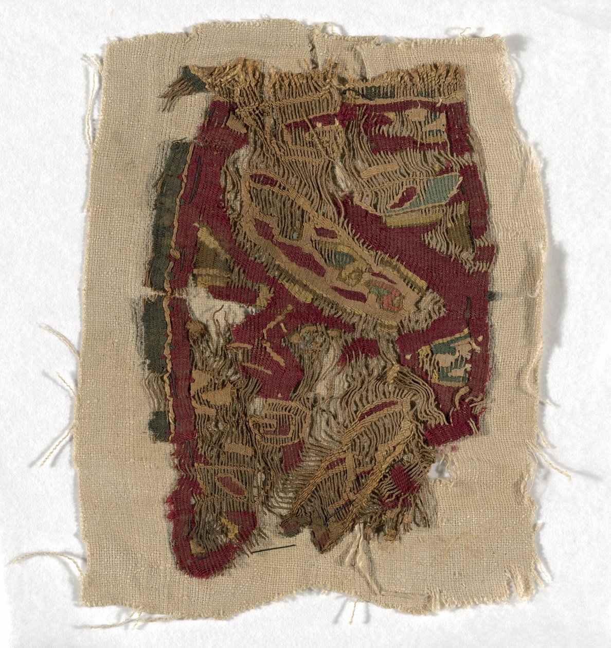 Fragment autorstwa Coptic