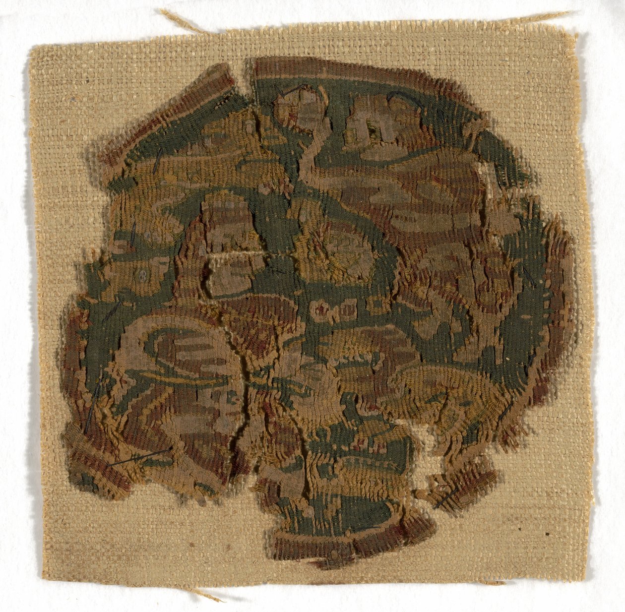 Roundel autorstwa Coptic