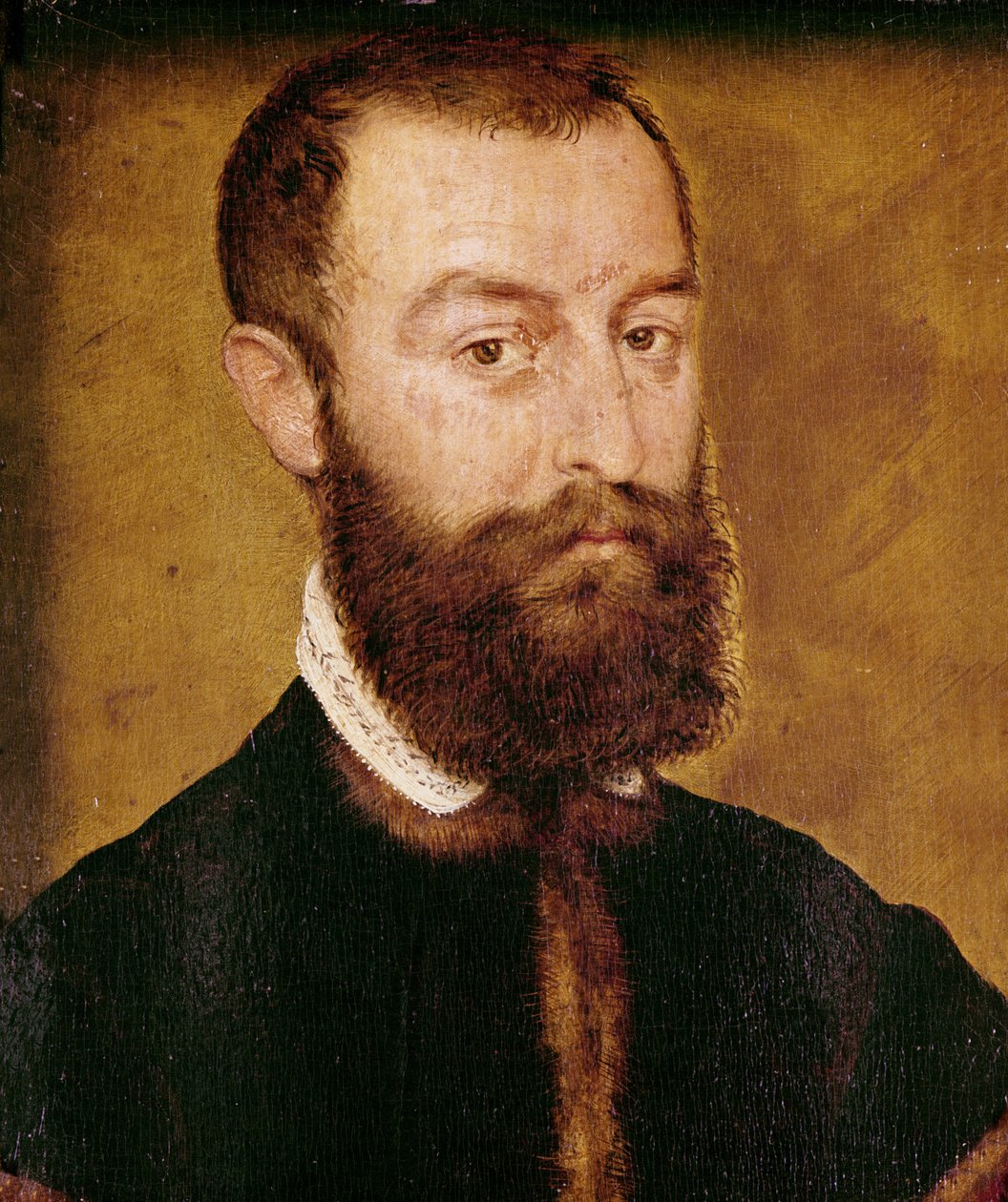 Portret mężczyzny z brodą lub Portret mężczyzny z brązowymi włosami autorstwa Corneille de Lyon