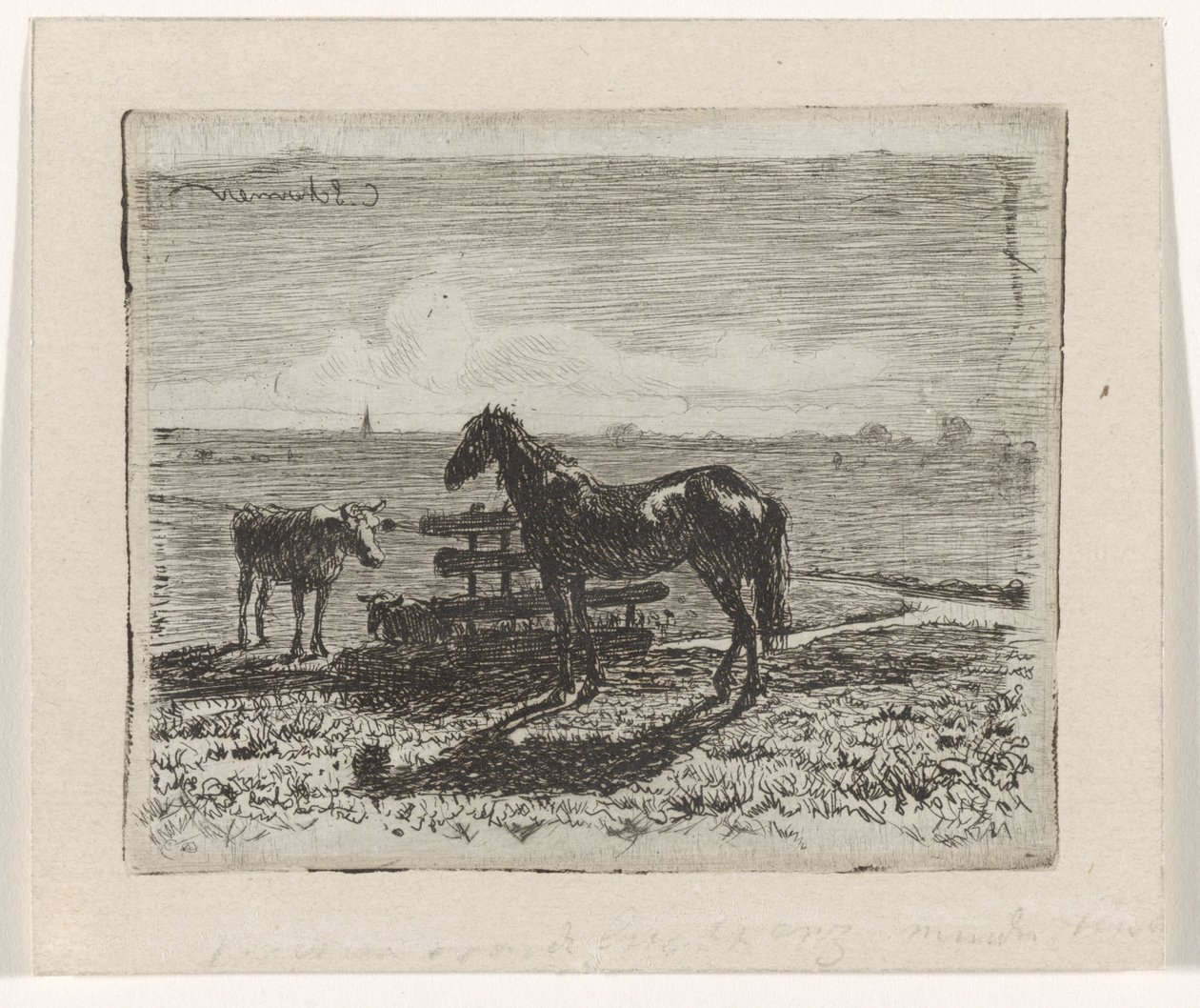 Pastwisko z koniem i dwiema krowami autorstwa Cornelis Albertus Johannes Schermer