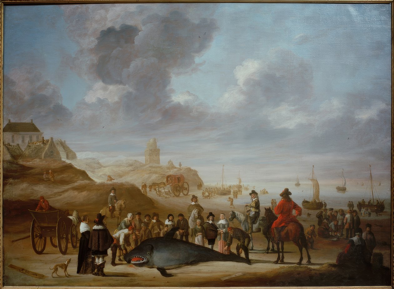 Wieloryb na plaży Scheveningen autorstwa Cornelis Beelt