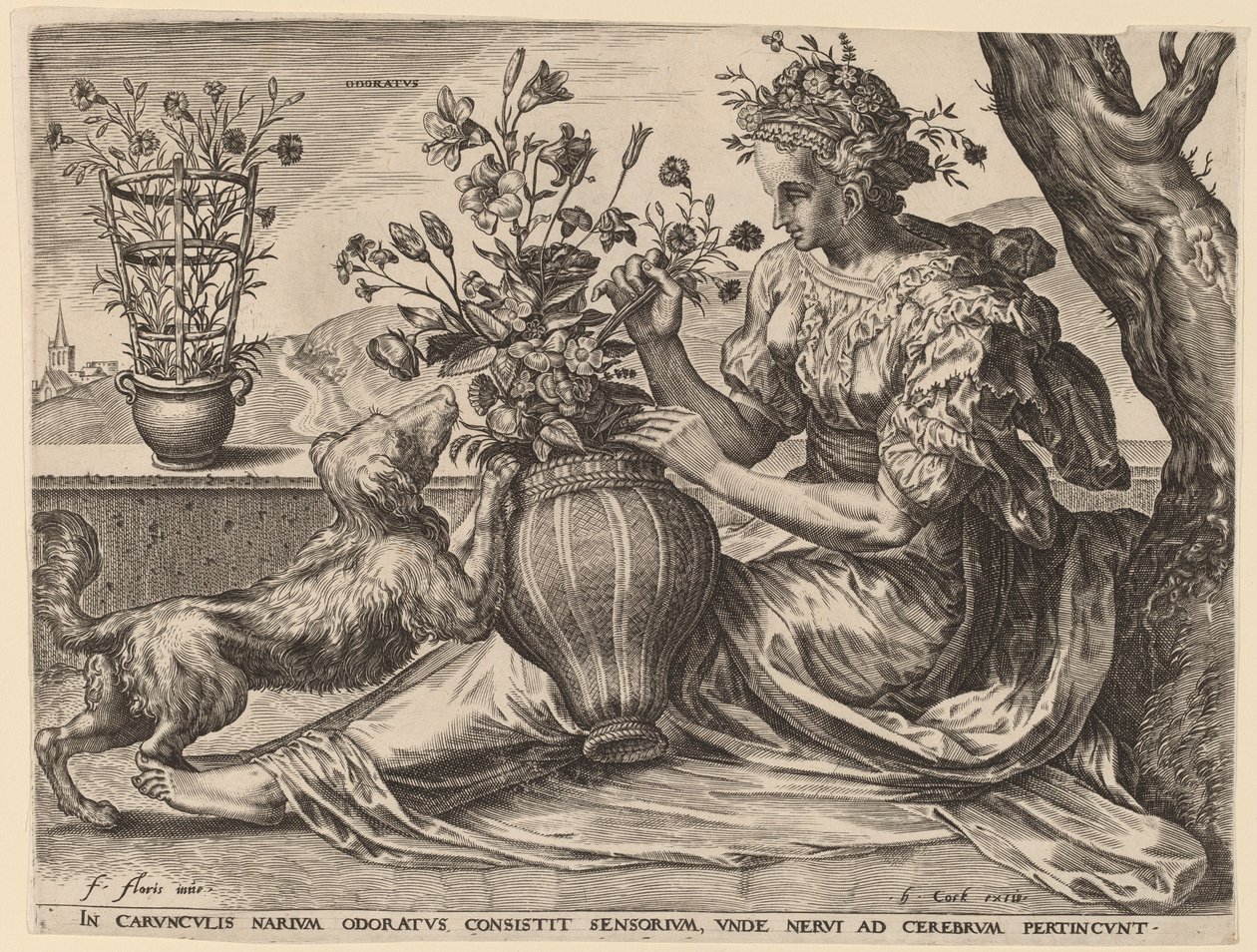 Pachnący autorstwa Cornelis Cort after Frans Floris I
