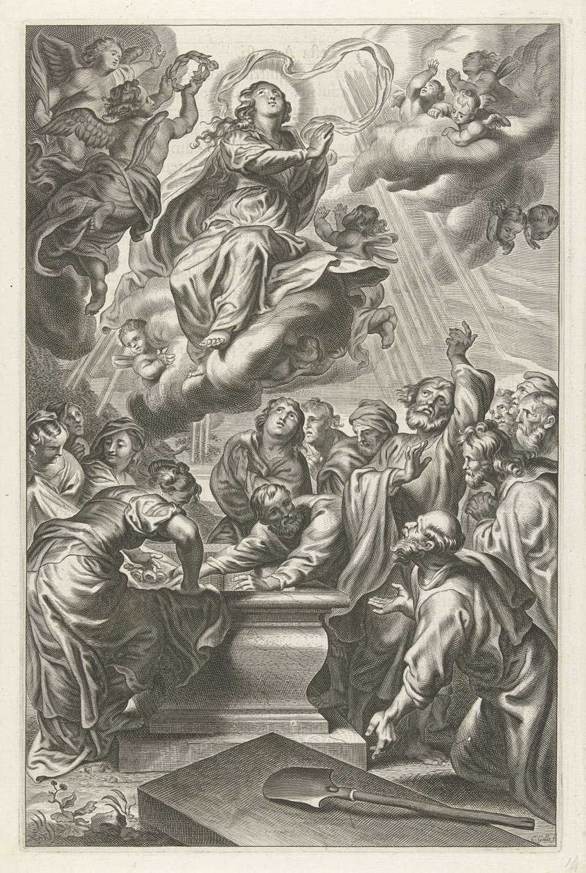 Wniebowstąpienie Maryi autorstwa Cornelis Galle (II)