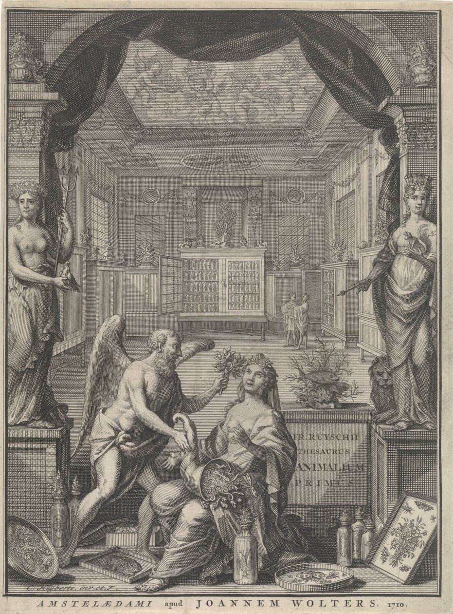Alegoria Natury autorstwa Cornelis Huyberts