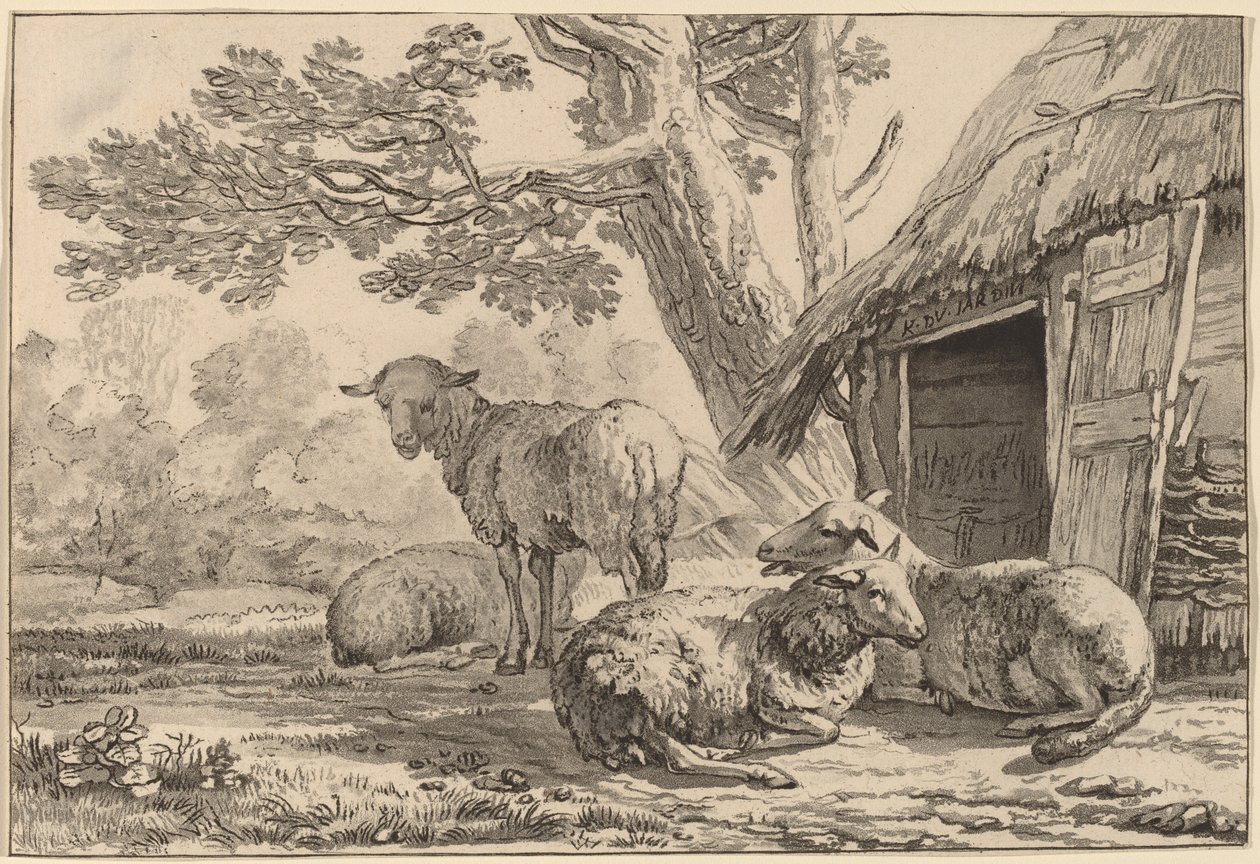 Owce autorstwa Cornelis Ploos van Amstel