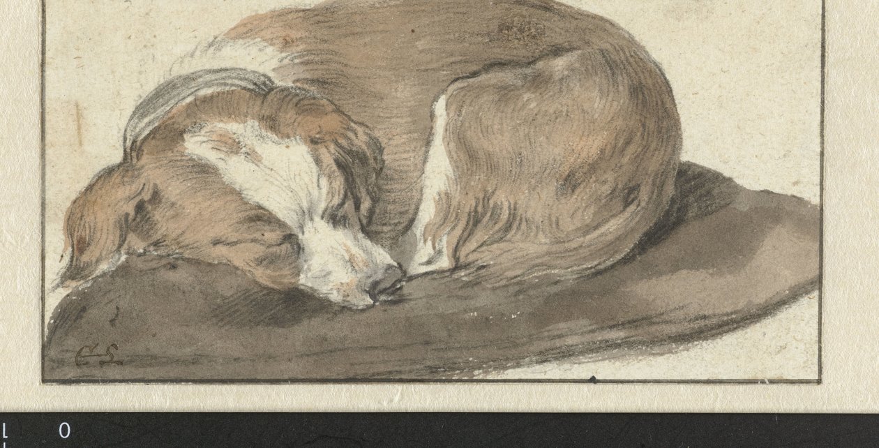 Śpiący Pies autorstwa Cornelis Saftleven