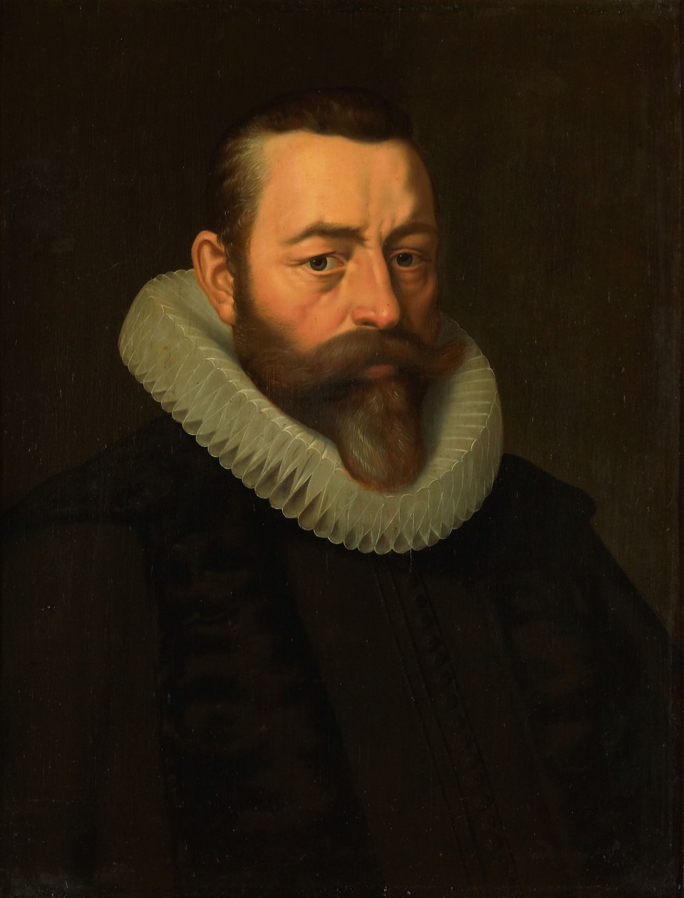 Portret Pietera Dircksza Hasselaera autorstwa Cornelis Van der Voort