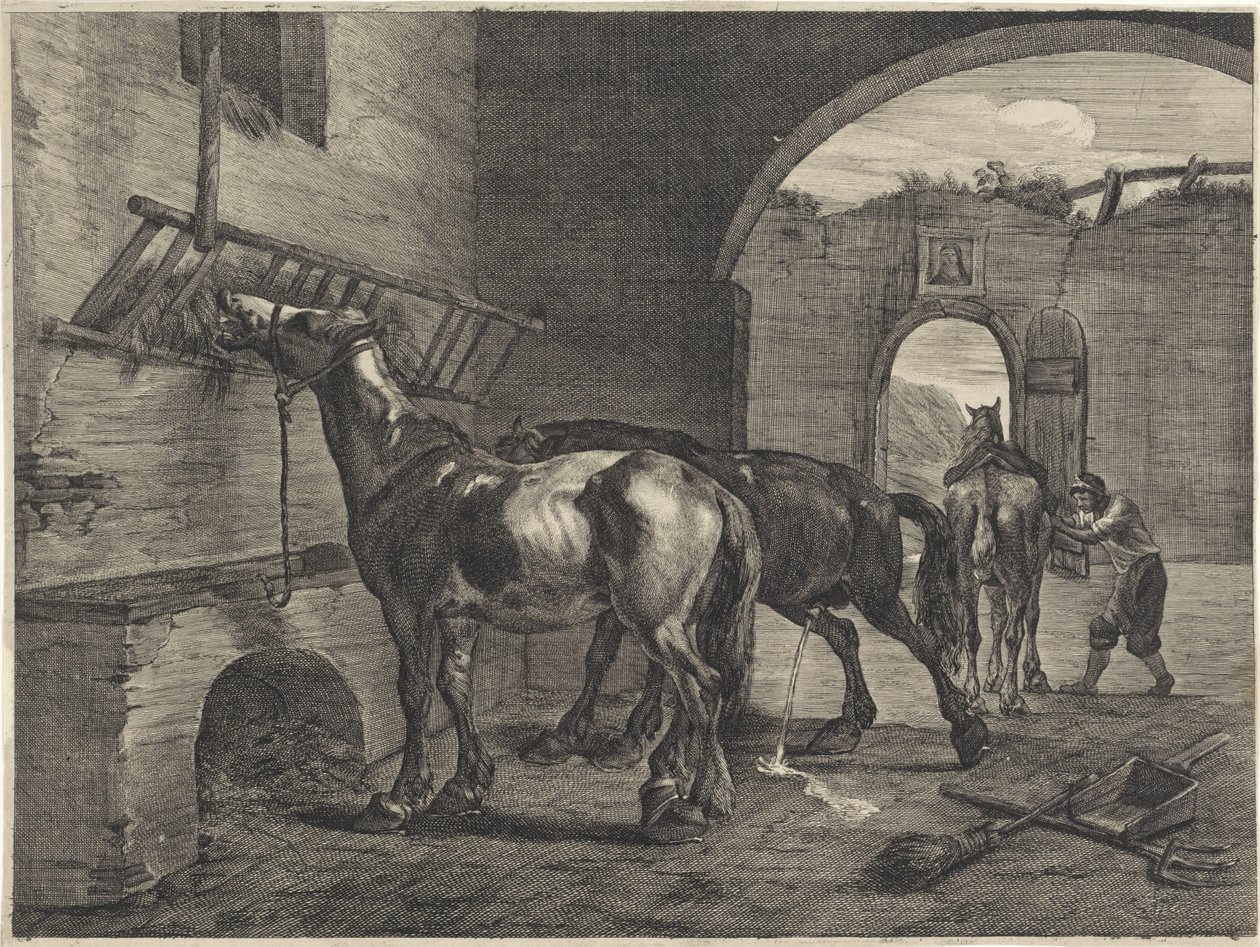 Stabilny autorstwa Cornelis Visscher (II)