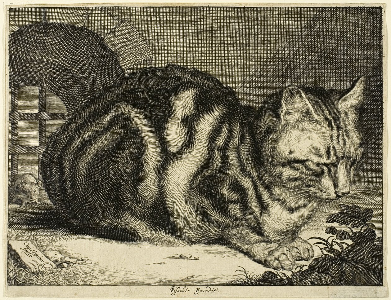 Duży kot autorstwa Cornelis Visscher