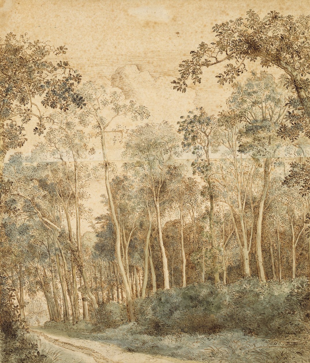 Zalesiony krajobraz (długopis i brązowy atrament i toaleta na papierze) autorstwa Hendrick Cornelisz. Vroom