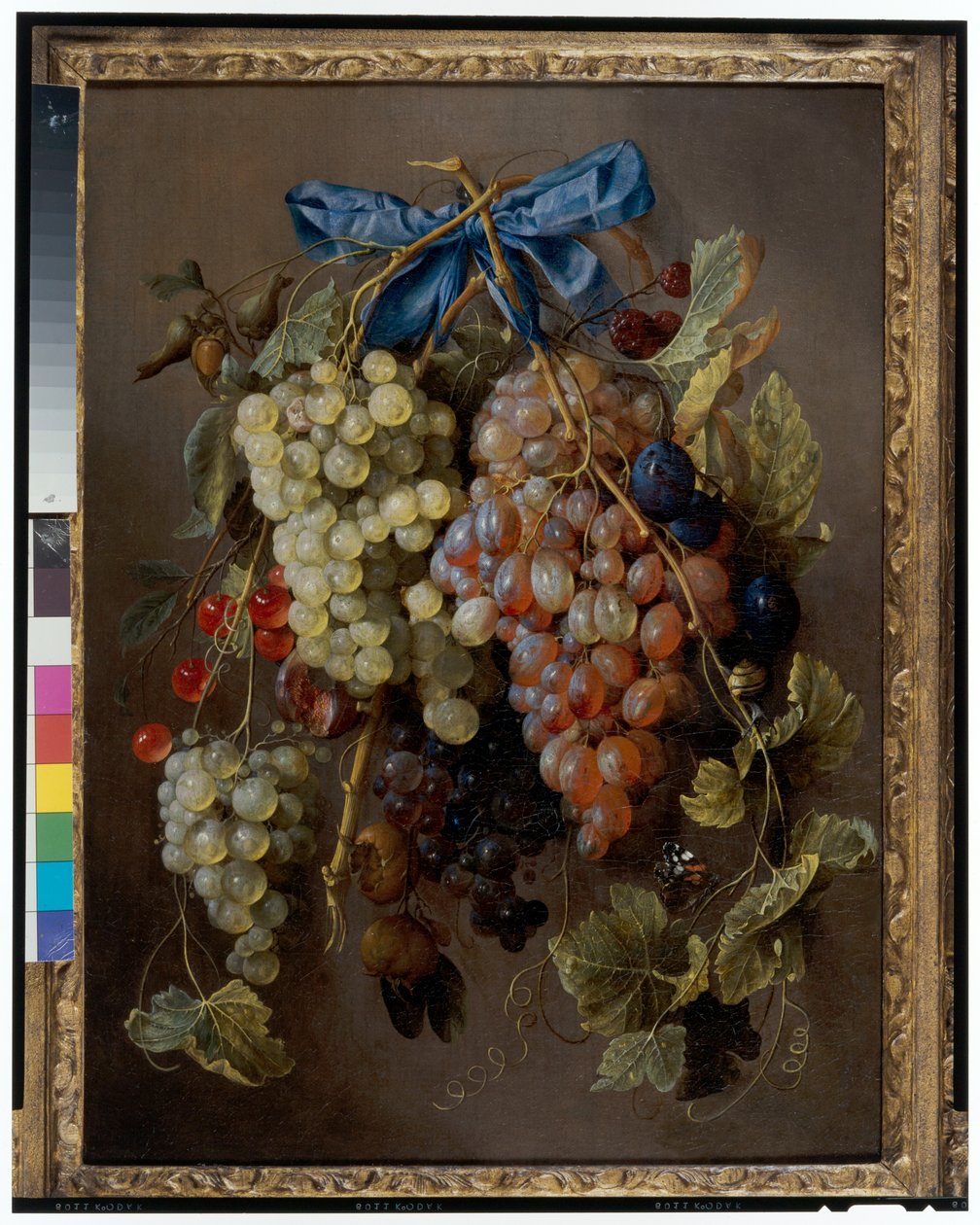 Martwa natura z winogron, wiśni i śliwek zwisających z gwoździa z niebieską wstążką autorstwa Cornelis de Heem