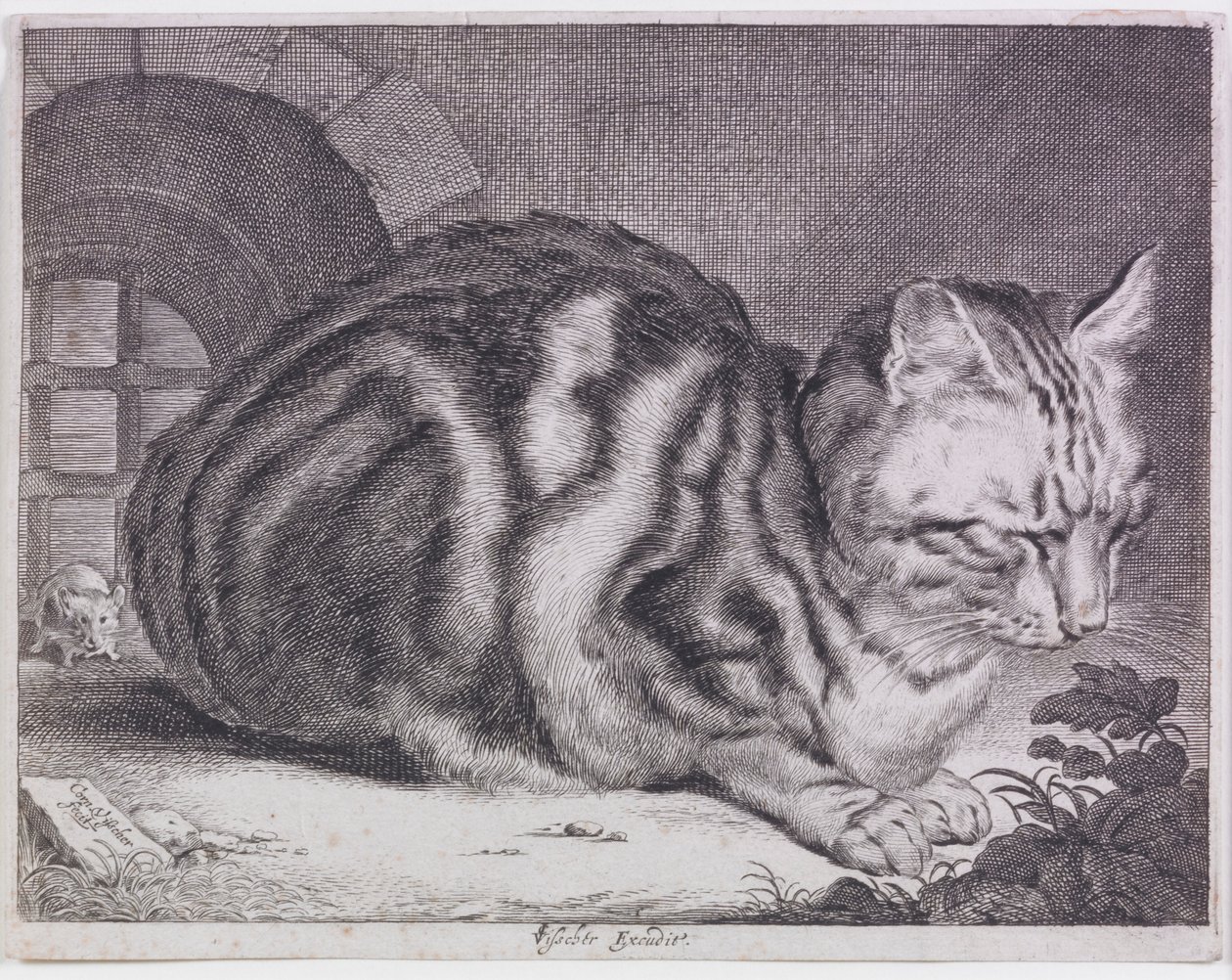 Duży kot autorstwa Cornelis de Visscher