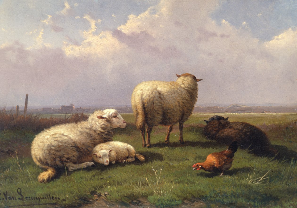 Drzemiące owce na pastwisku, XIX w. autorstwa Cornelis van Leemputten