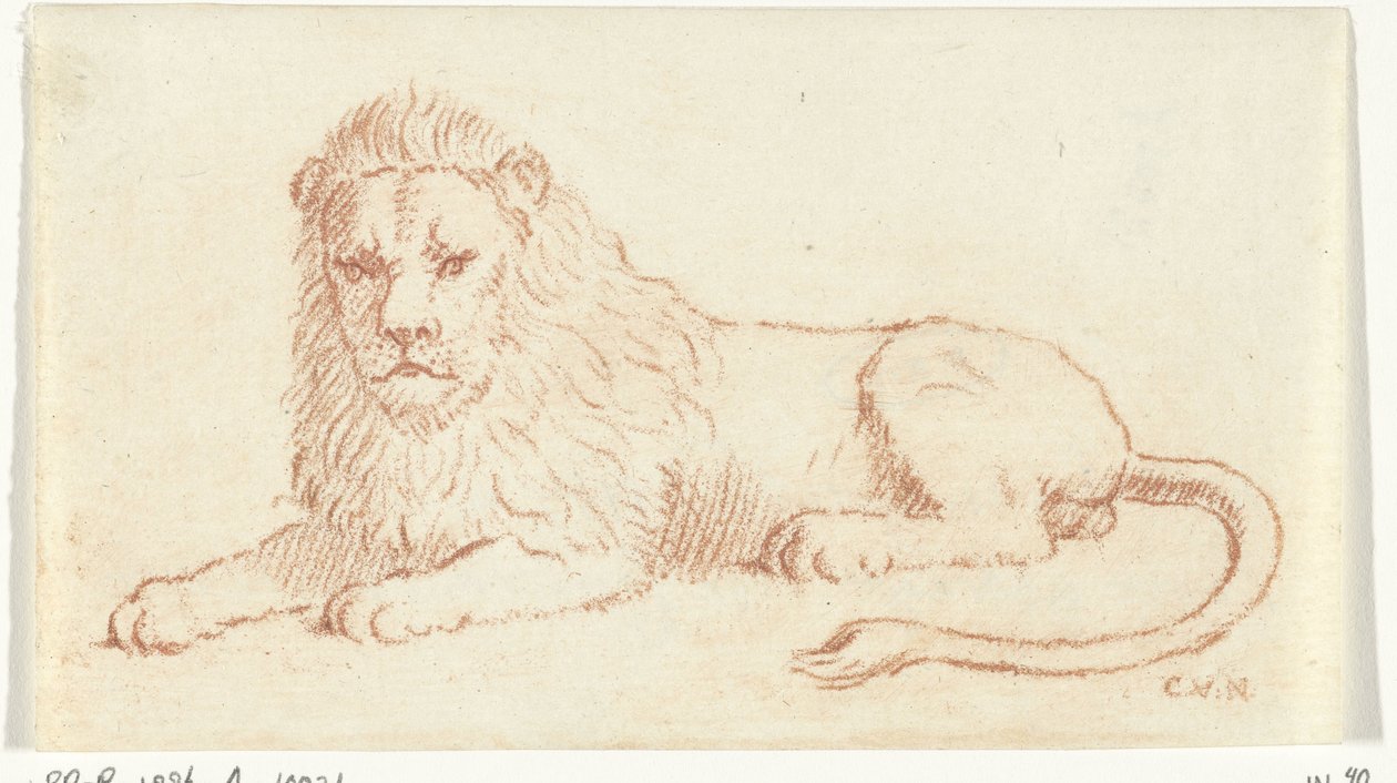 Lew autorstwa Cornelis van Noorde