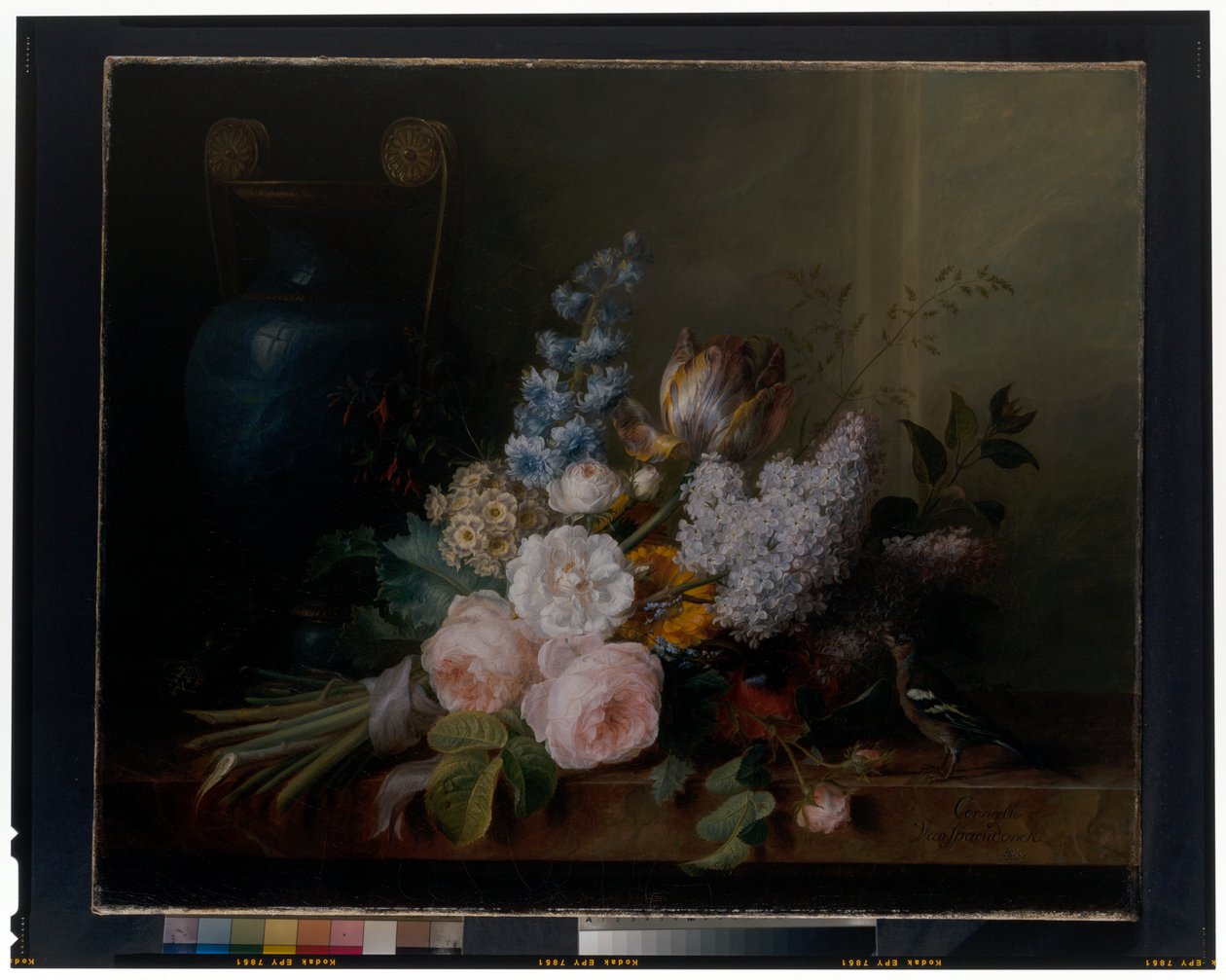 Martwa natura kwiatów autorstwa Cornelis van Spaendonck