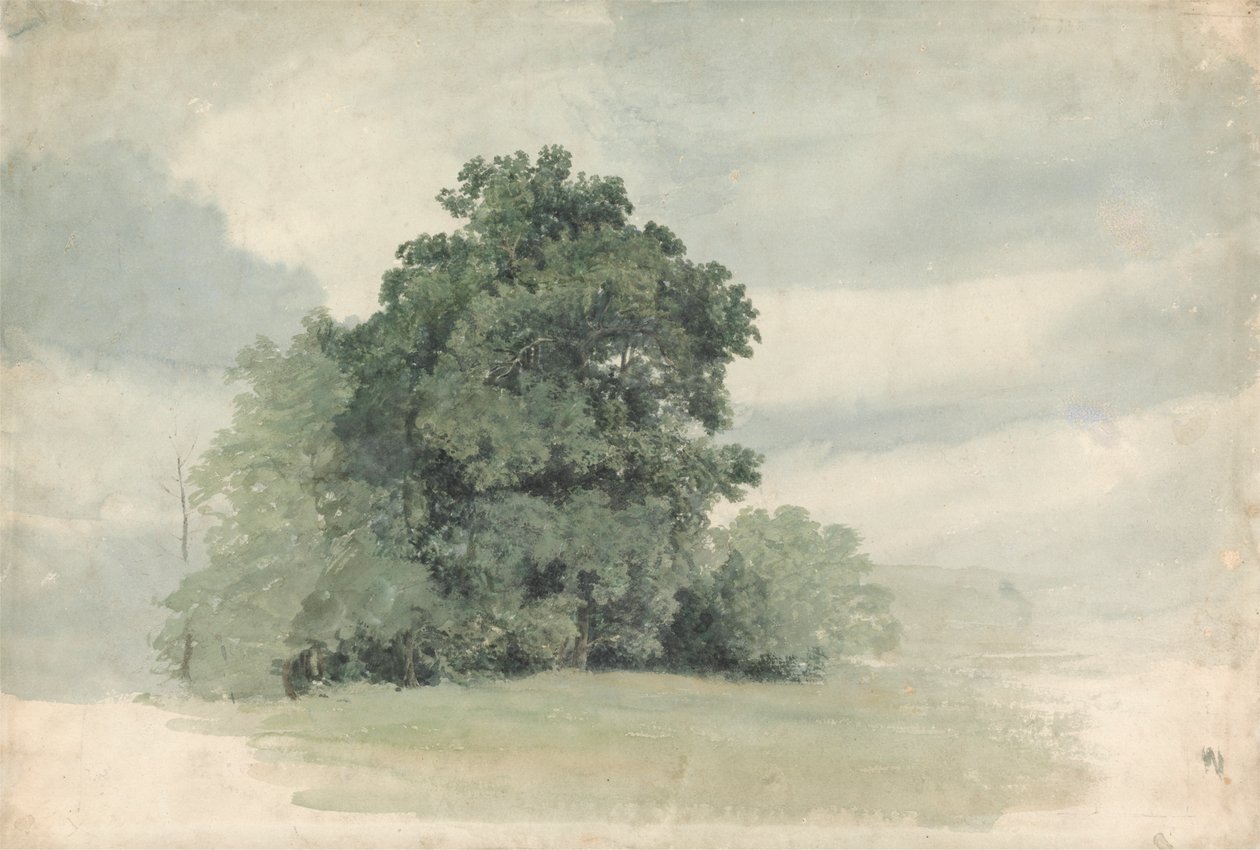 Studium drzew na skraju pola autorstwa Cornelius Varley