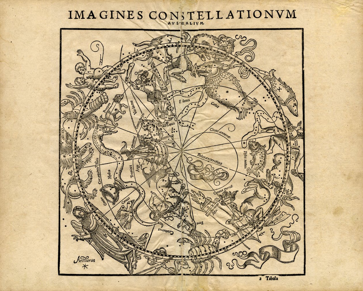 Imagines Constellationum Australium (Południowa Planeta Niebieska) autorstwa Coronensis & Petri Heinrich Honter