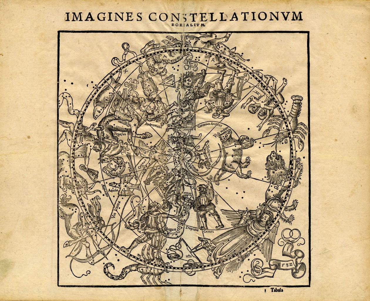 Wyobraża sobie Constellationum Borealium (północną sferę niebieską) autorstwa Coronensis & Petri Heinrich Honter