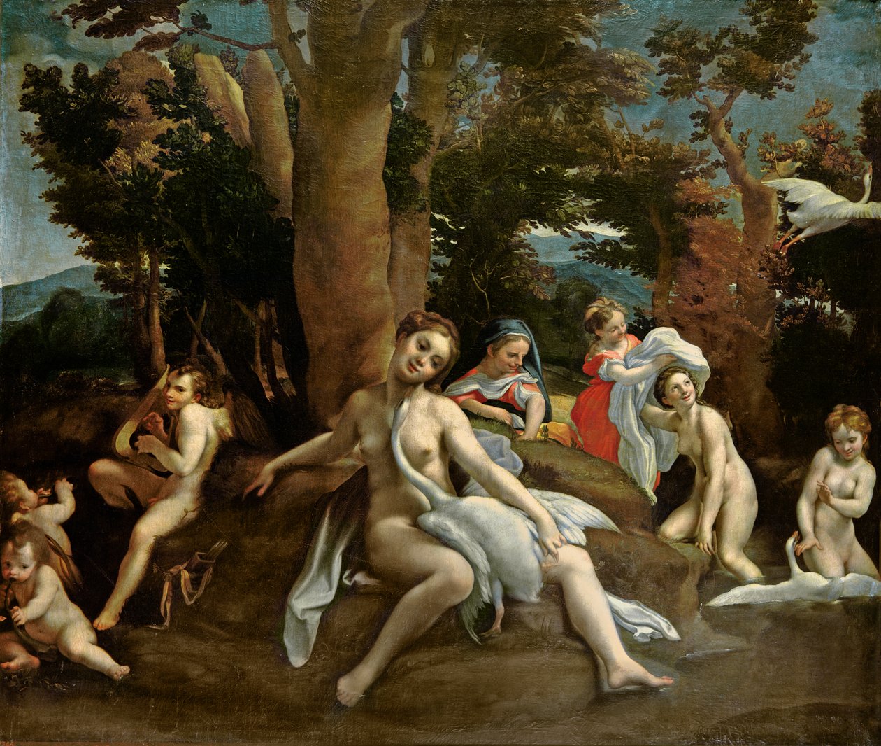 Leda i łabędź autorstwa Antonio da Correggio