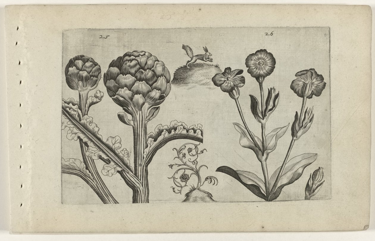 Artisjok en Prikneus Poznaj lilie (tytuł serii) autorstwa Crispijn van de Passe (I) (attributed to)