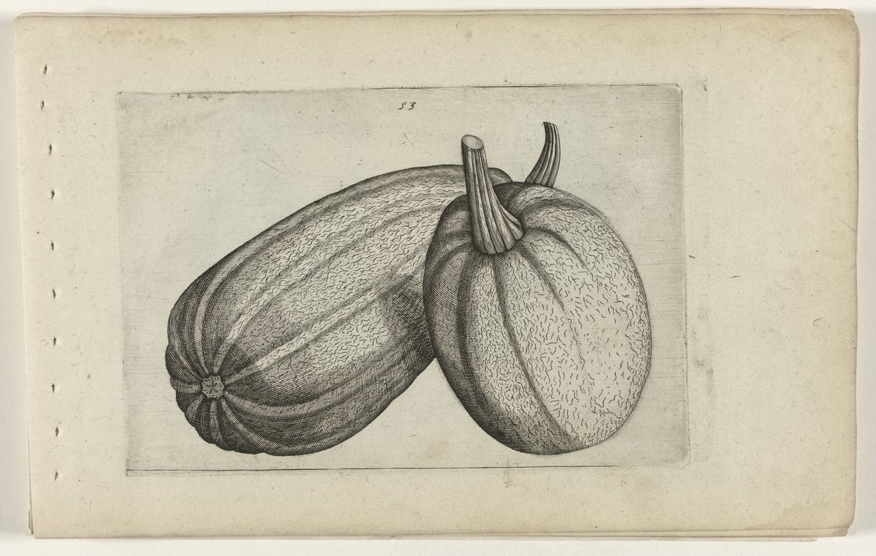 Dwa melony Poznaj lilie (tytuł serii) autorstwa Crispijn van de Passe (I) (attributed to)