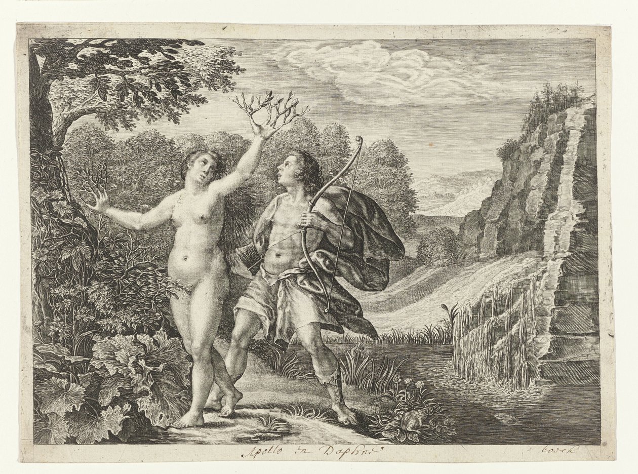 Apollo goni Daphne Metamorfozy Owidiusza (tytuł serii) autorstwa Crispijn van de Passe (I)