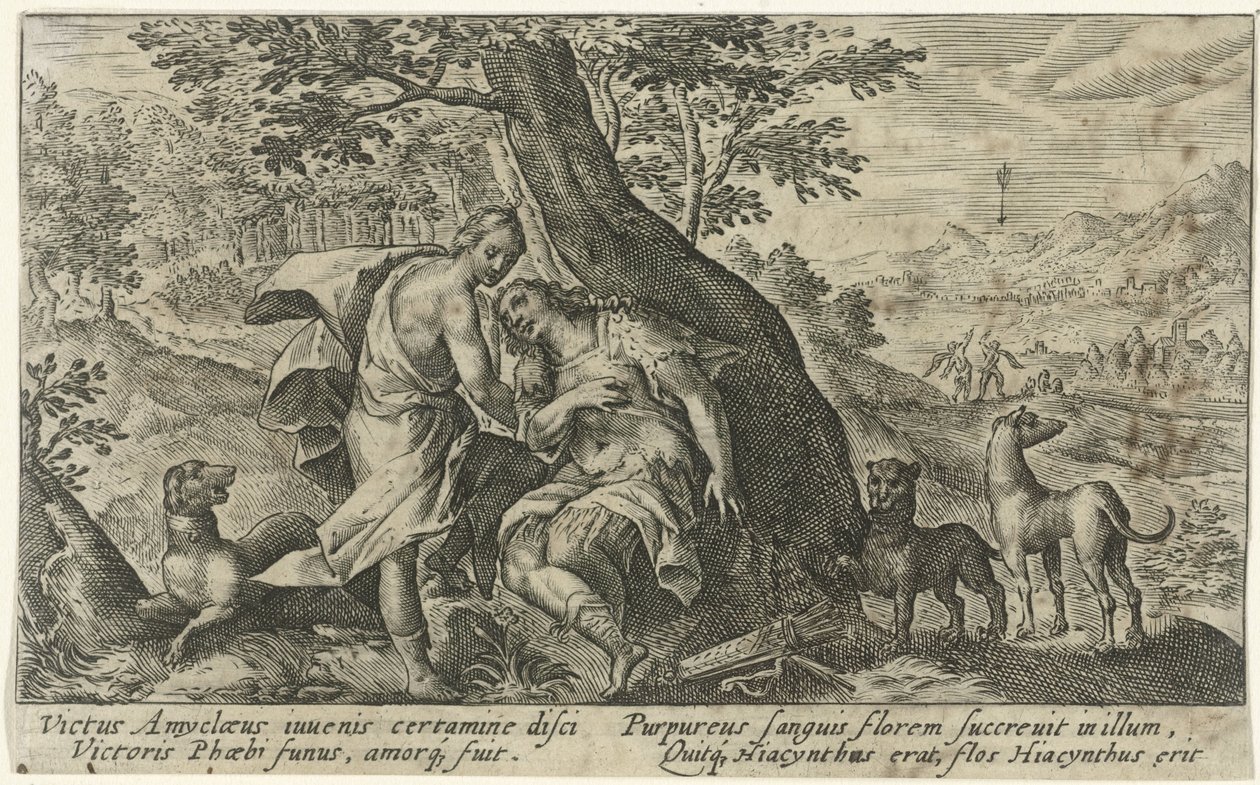 Apollo i Hiacynt Metamorfosen van Ovidius (tytuł serii) autorstwa Crispijn van de Passe (I)
