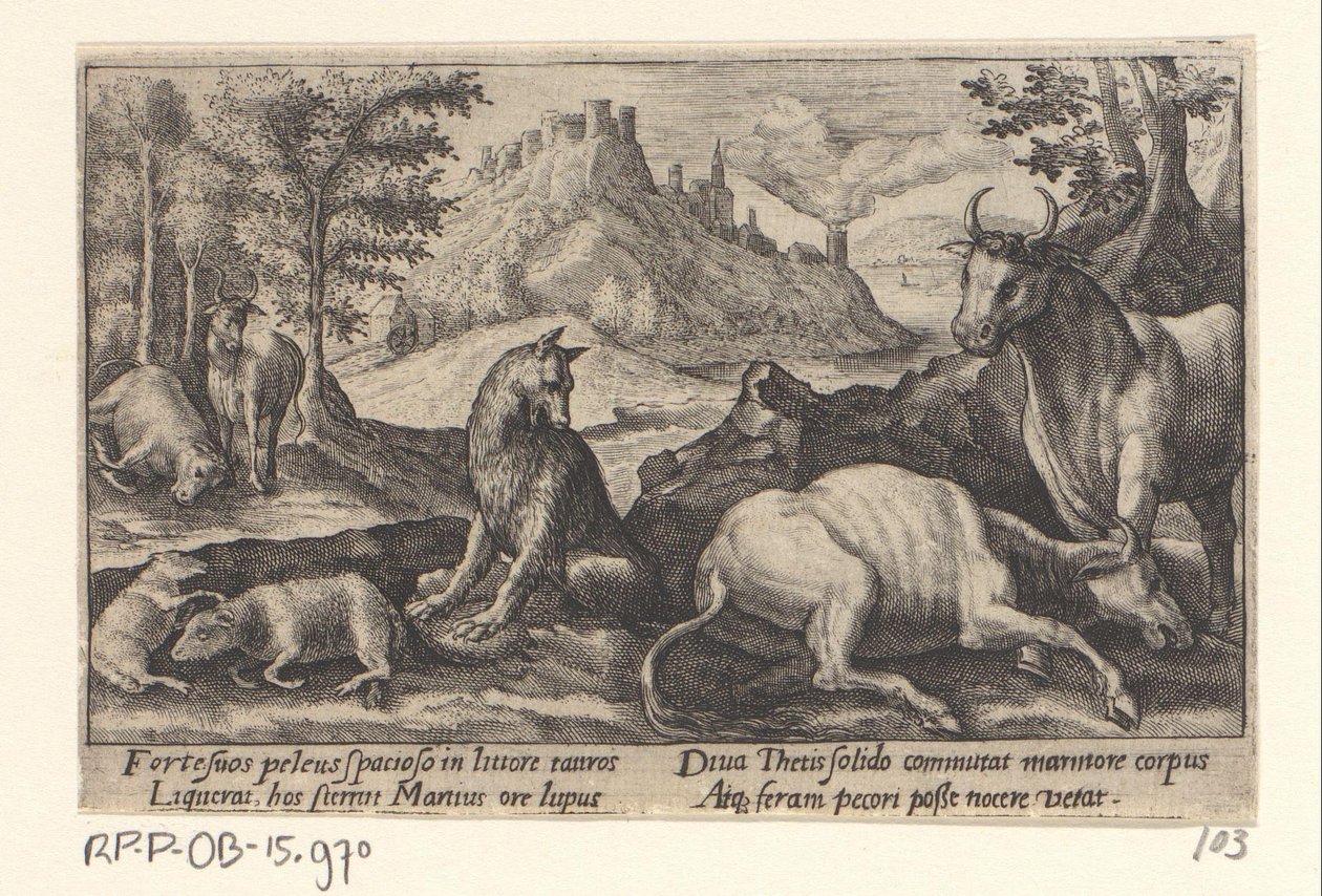 Psamathe zamienia wilka w marmur Metamorfozy Owidiusza (tytuł serii) autorstwa Crispijn van de Passe (I)