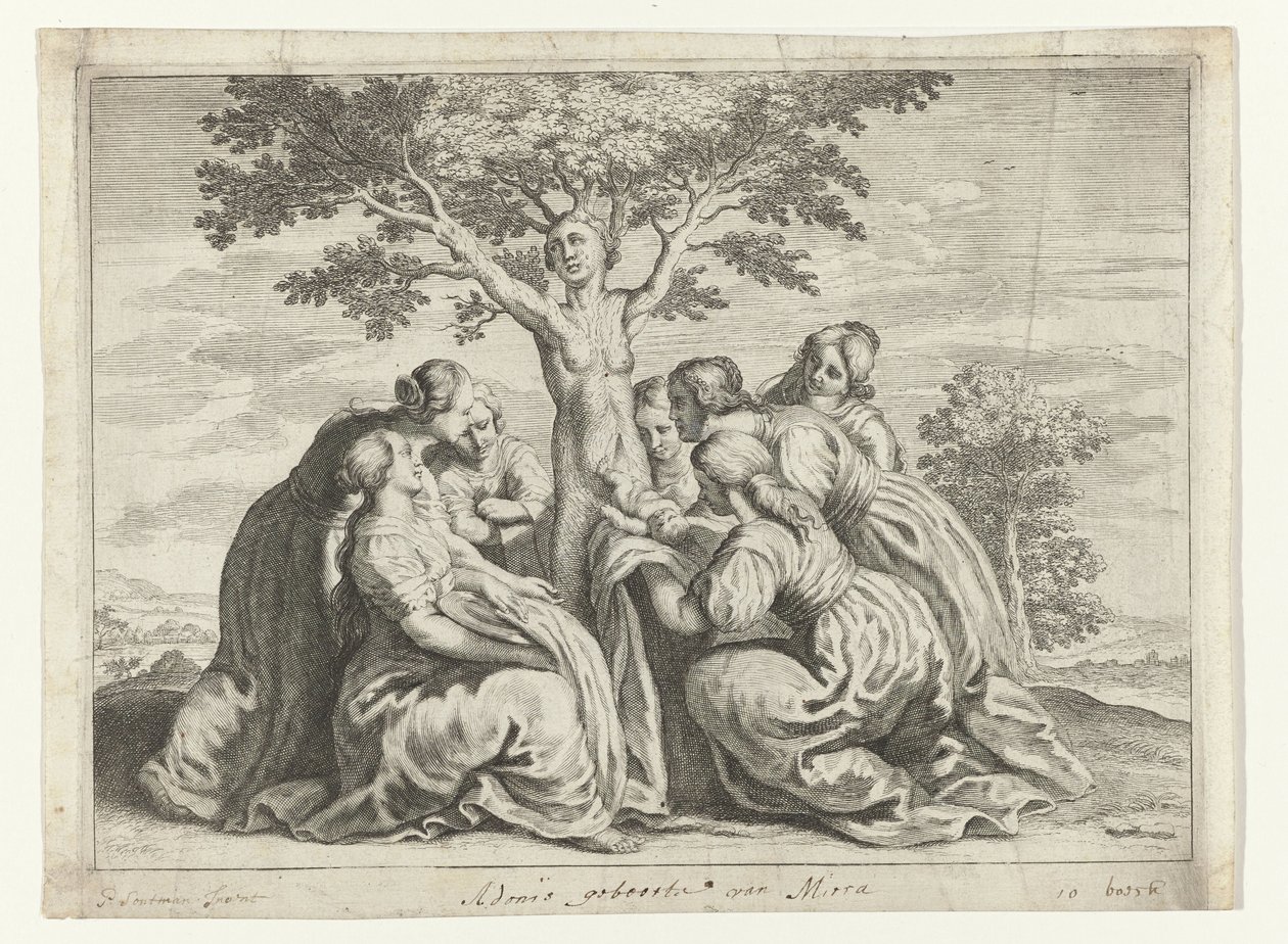 Narodziny Adonisa Metamorfozy Owidiusza (tytuł serii) autorstwa Crispijn van de Passe (II) (workshop of)