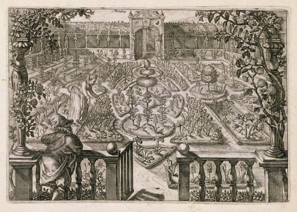 Spring Garden, z „Hortus Floridus”, opublikowany 1614-15 (patrz także 170862) autorstwa Crispin  Passe