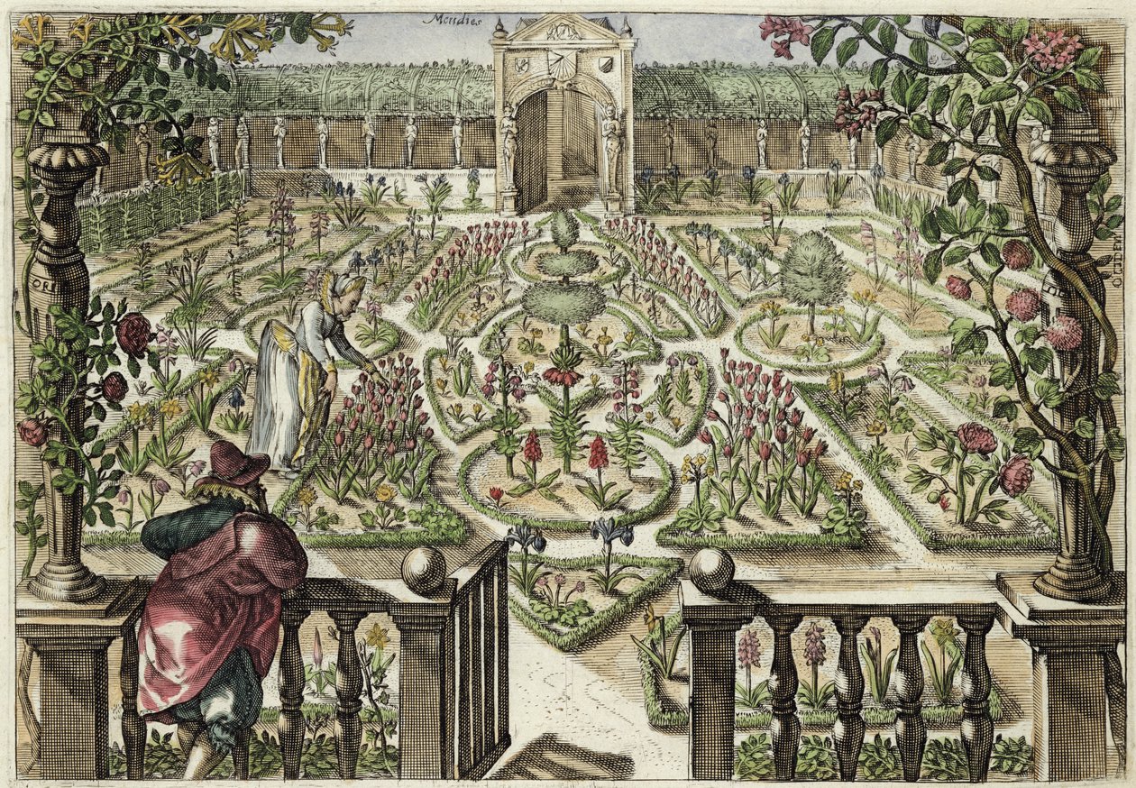 Spring Garden, z „Hortus Floridus”, opublikowany 1614-15 (patrz także 172301) autorstwa Crispin  Passe