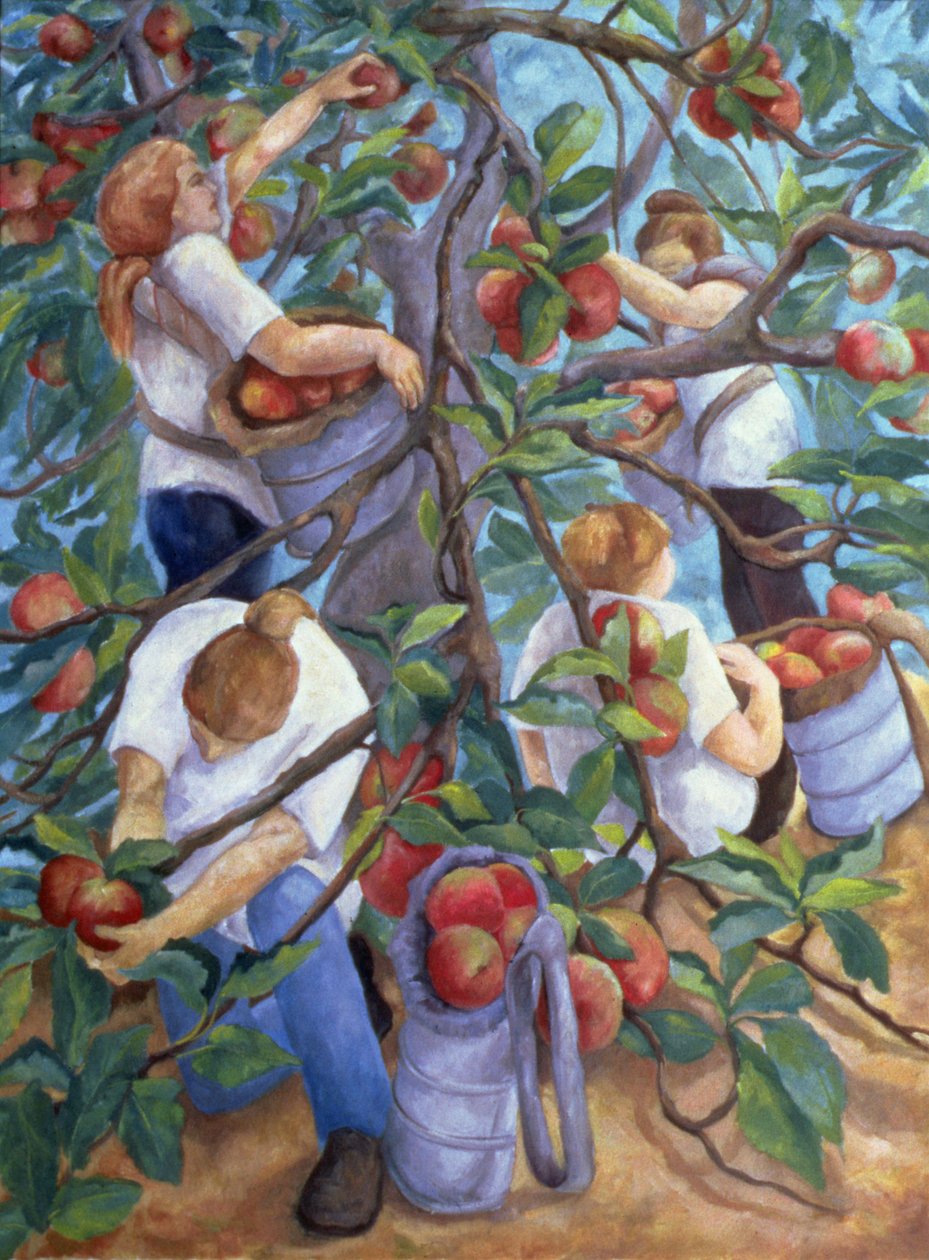 Zbieracze jabłek, 1996 autorstwa Cristiana Angelini
