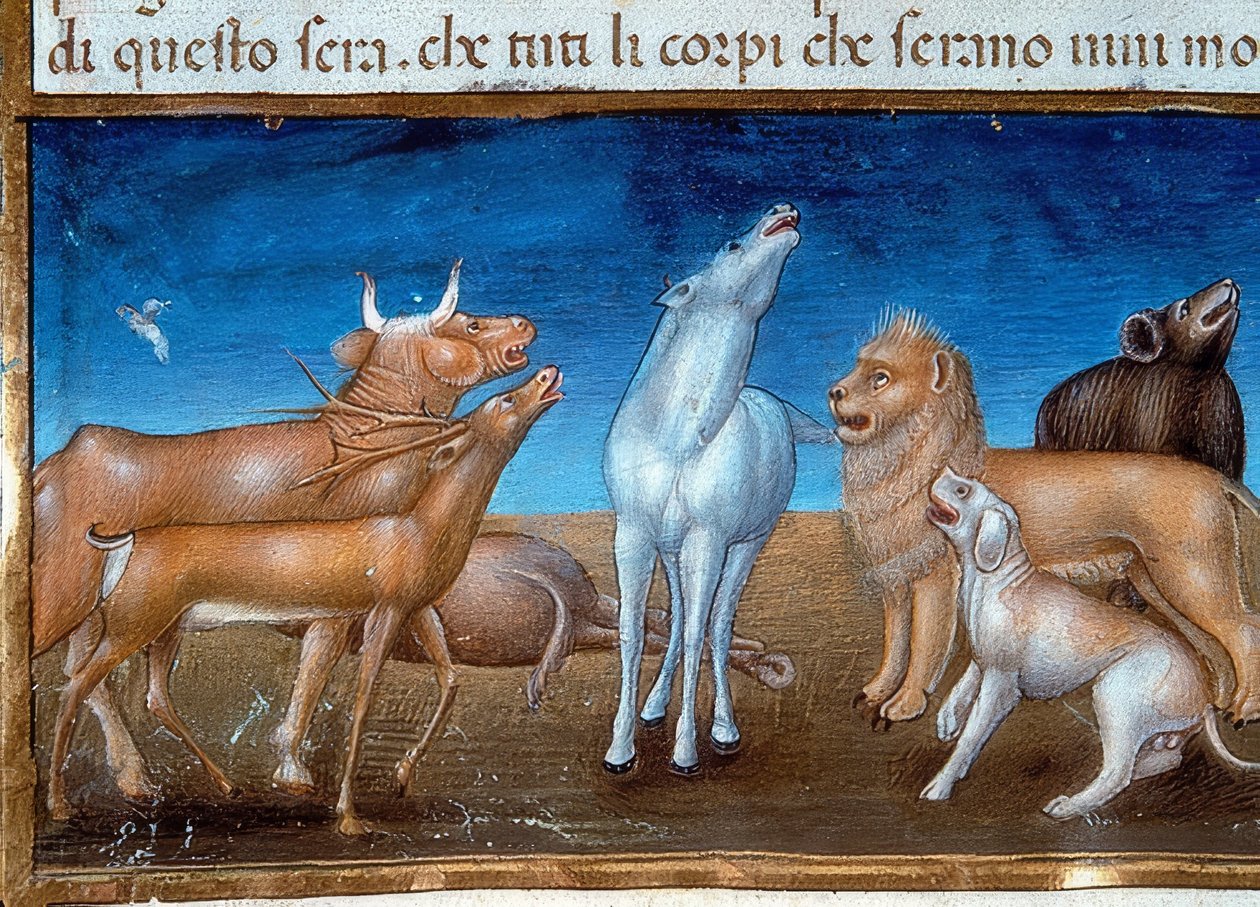 Koniec świata: a gwiazdy spadną z nieba, a zwierzęta będą się bały (ok.149v). 1476 autorstwa Cristoforo De Predis