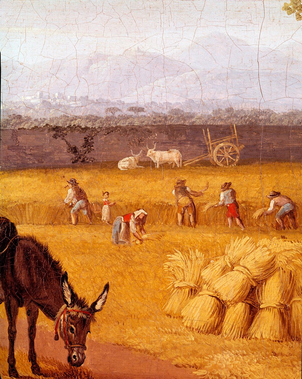 Zbiory w pobliżu Caserte Detail. Obraz autorstwa Cristoforo Kneipa (XVIII w.) przyjaciela Goethego. XVIII-wieczne Museo Nazionale di San Martino . w Neapolu autorstwa Cristoforo Kneip