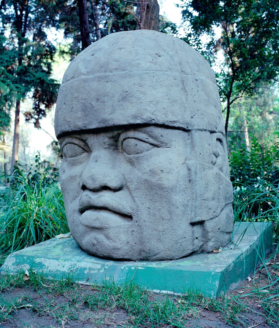 Cywilizacja przedkolumbijska: kolosalna głowa Olmeków. X-VII w. p.n.e. Meksyk. Park Musee de La Vente autorstwa Culture Olmec