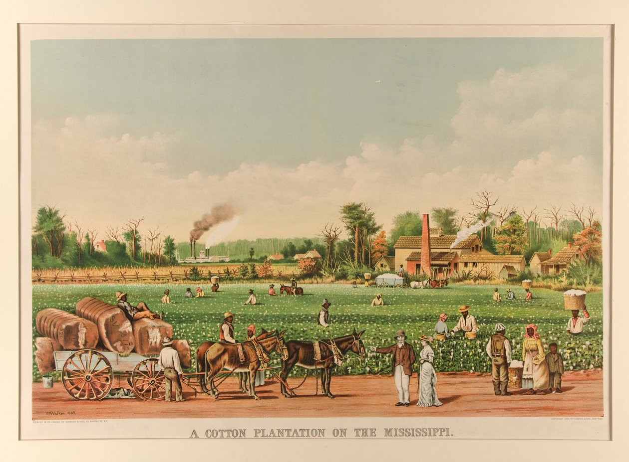 Plantacja bawełny na Missisipi autorstwa Currier and Ives