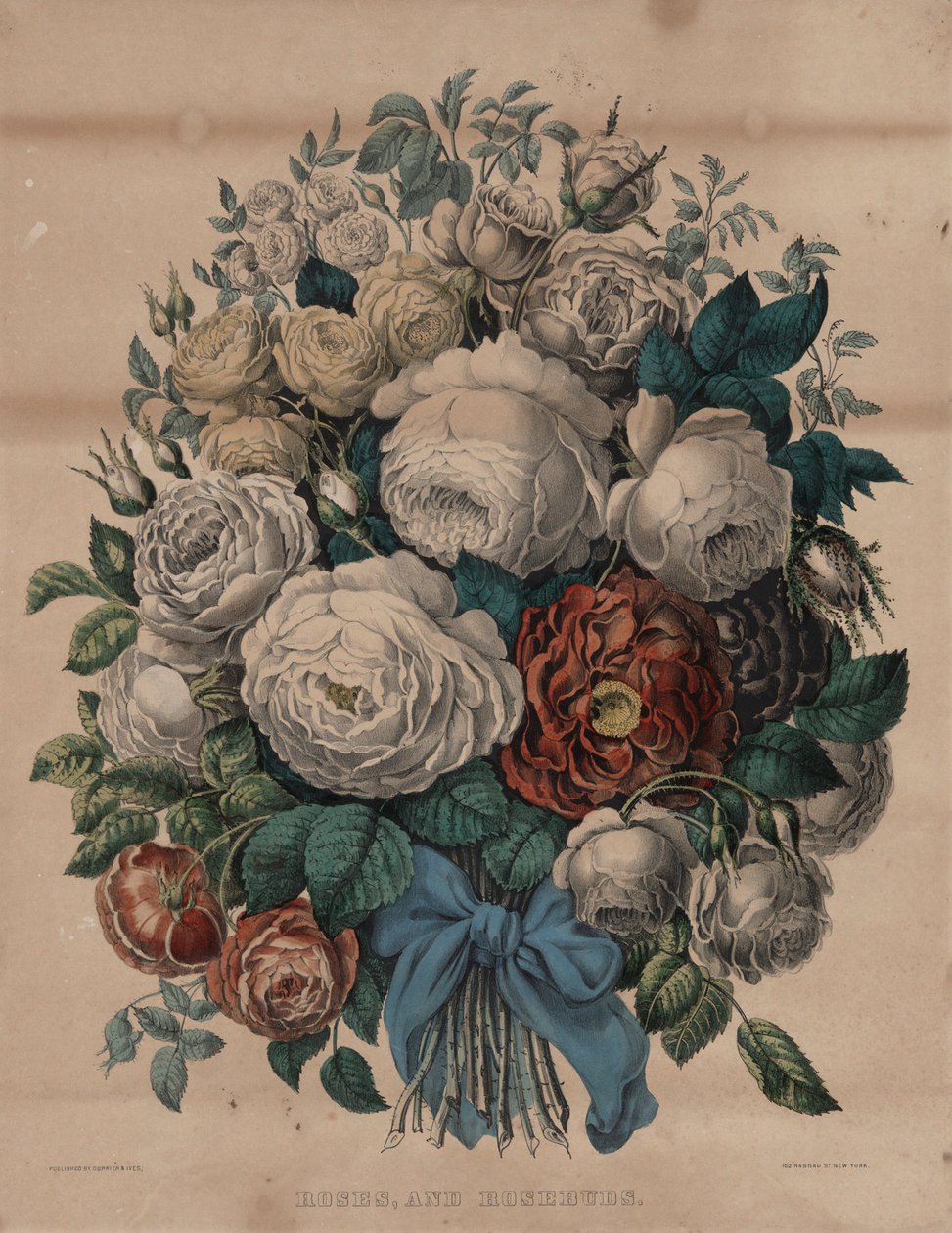 Róże i pąki róż autorstwa Currier and Ives