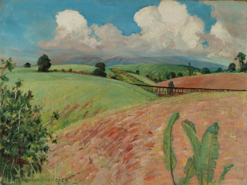 Canefields, Wielka Wyspa autorstwa D. Howard Hitchcock