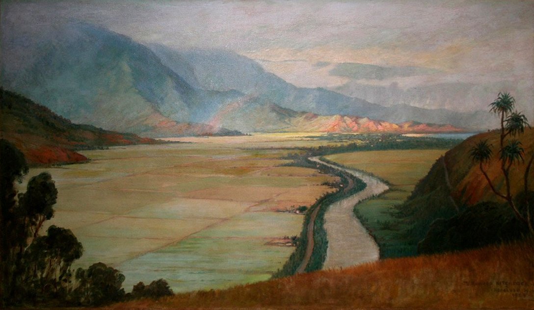 Dolina Hanalei autorstwa D. Howard Hitchcock