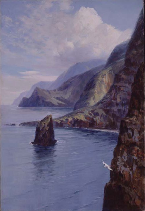 Molokai Bluffs, Hawaje autorstwa D. Howard Hitchcock