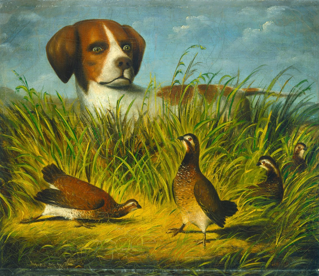 W punkcie autorstwa D.G. Stouter