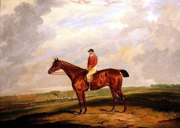 Koń wyścigowy z dżokejem w górze autorstwa D. the Younger Wolstenholme