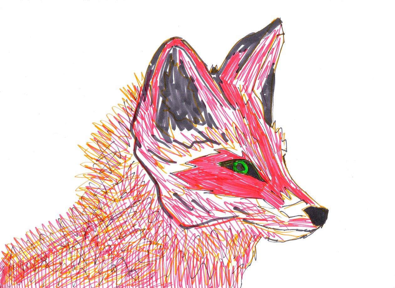 Lis (flamaster na papierze) autorstwa Daisy de Villeneuve