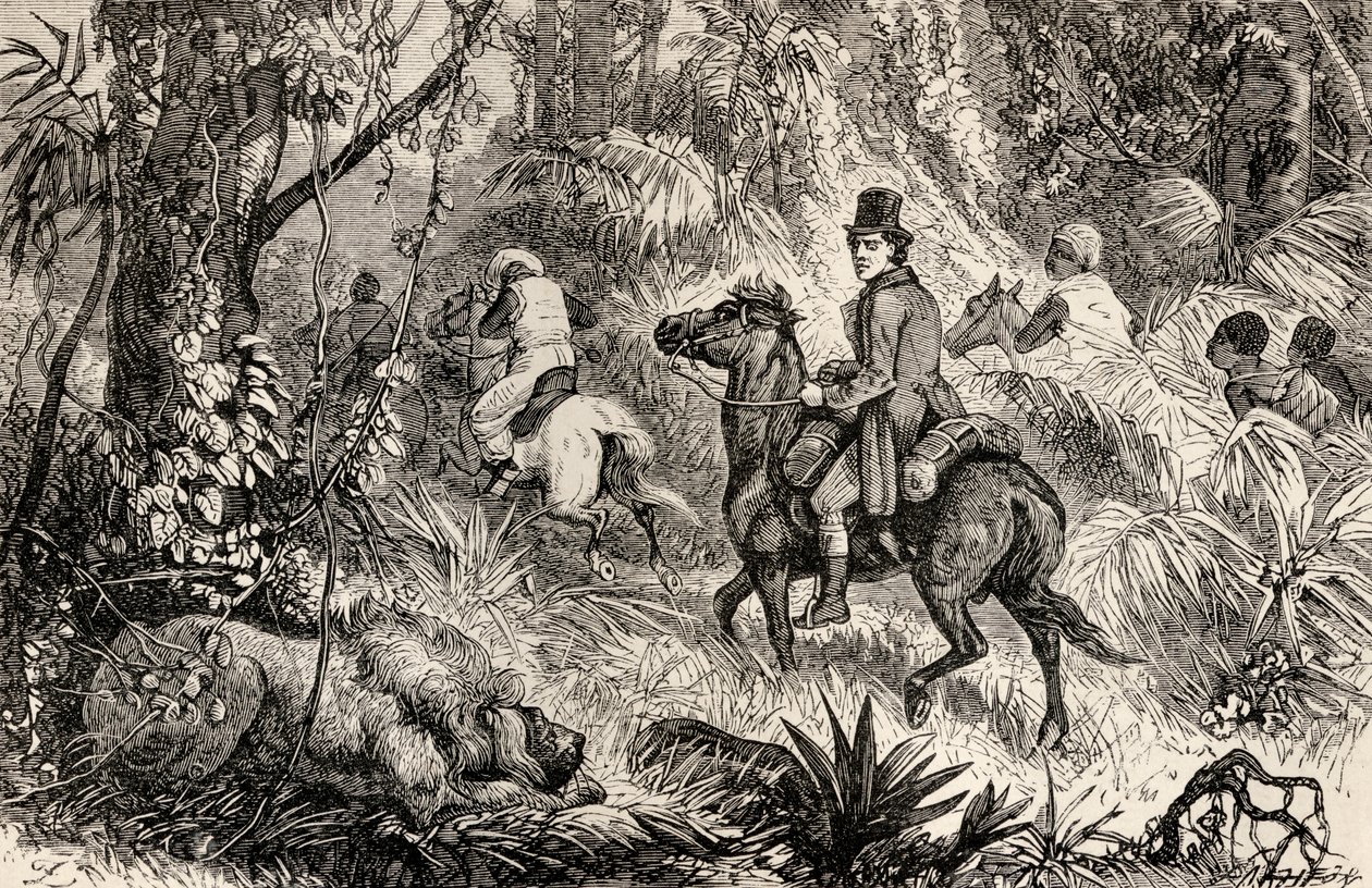 Mungo Park spotyka lwa w drodze do wioski Modiboo, 1825 autorstwa Dalziel Brothers